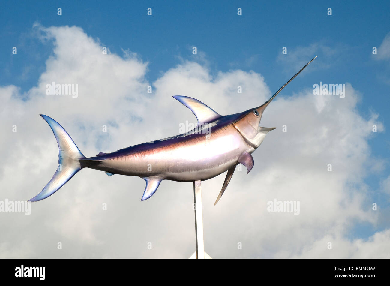 Swordfish advertising Sports Deep Sea Fishing boat in Fort Lauderdale