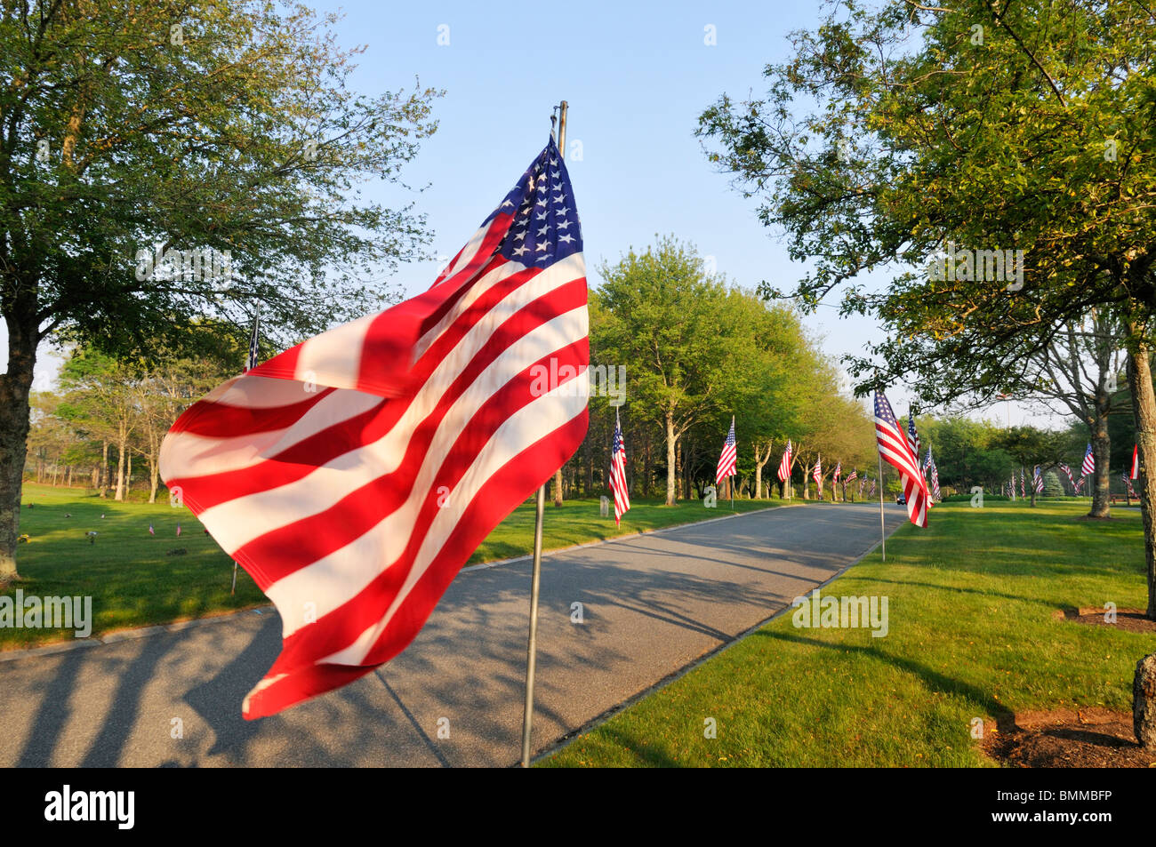 American Flags waving on a tree lined street on Memorial Day at the Massachusetts National Cemetery in Bourne, Cape Cod USA Stock Photo