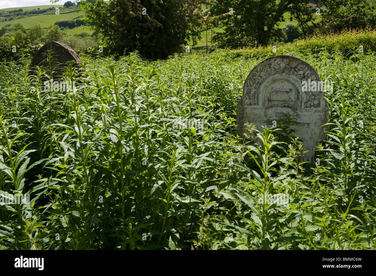 Bethania hires stock photography and images Alamy