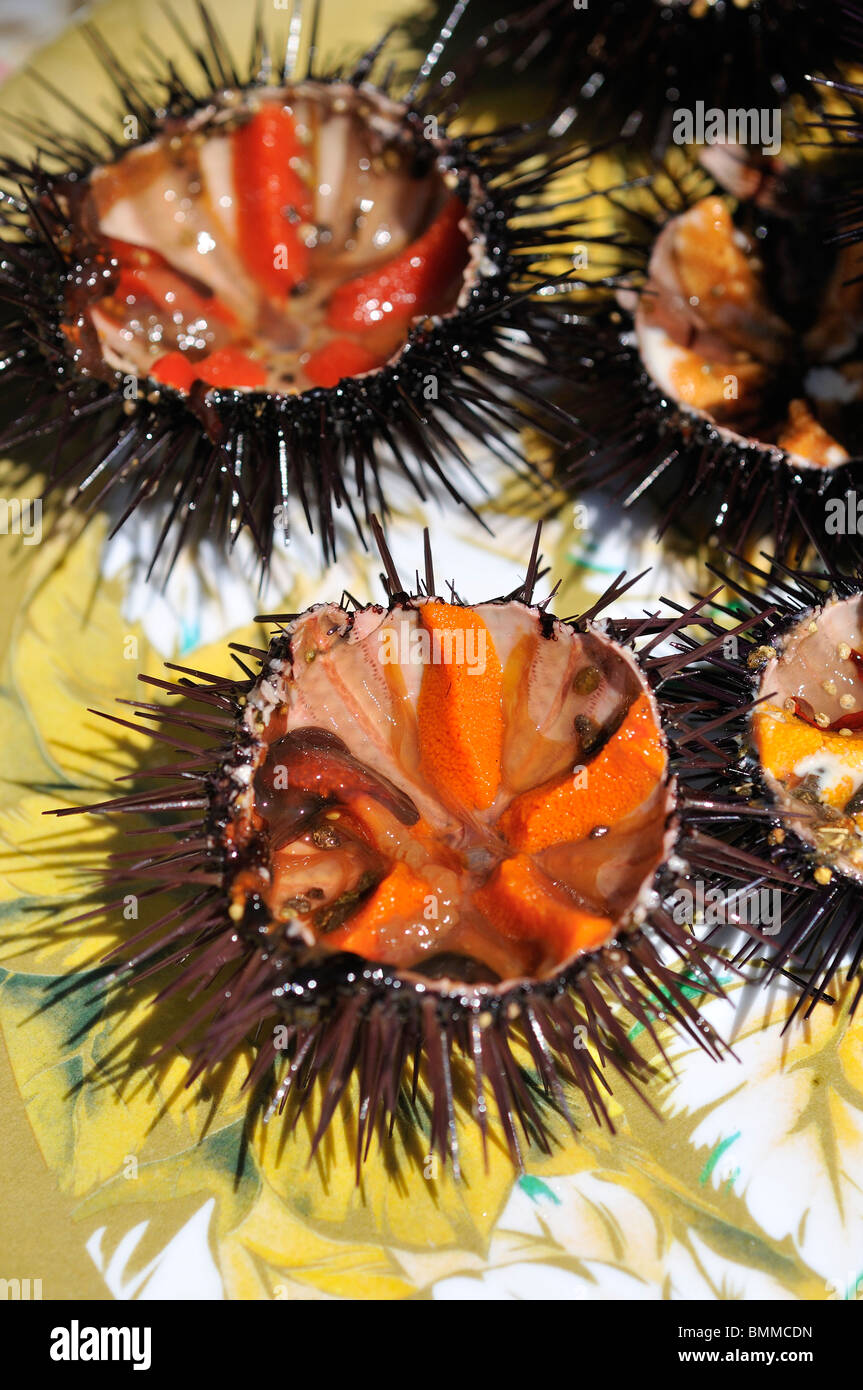 Salento. Puglia. Salento. Italy. Ricci di Mare (Sea Urchins Stock Photo -  Alamy