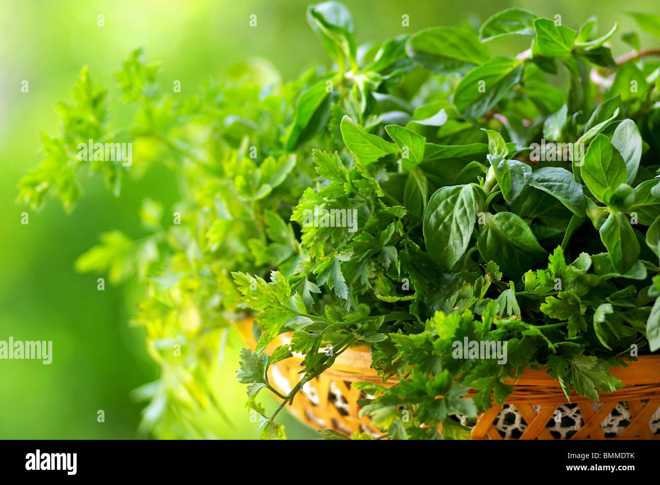Cooking herbs of portuguese cuisine Stock Photo Alamy