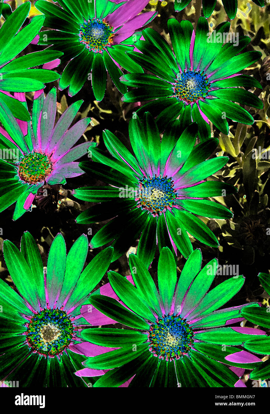 Gardens abstract false colour painterly daisy flowers anemone blanda Stock Photo