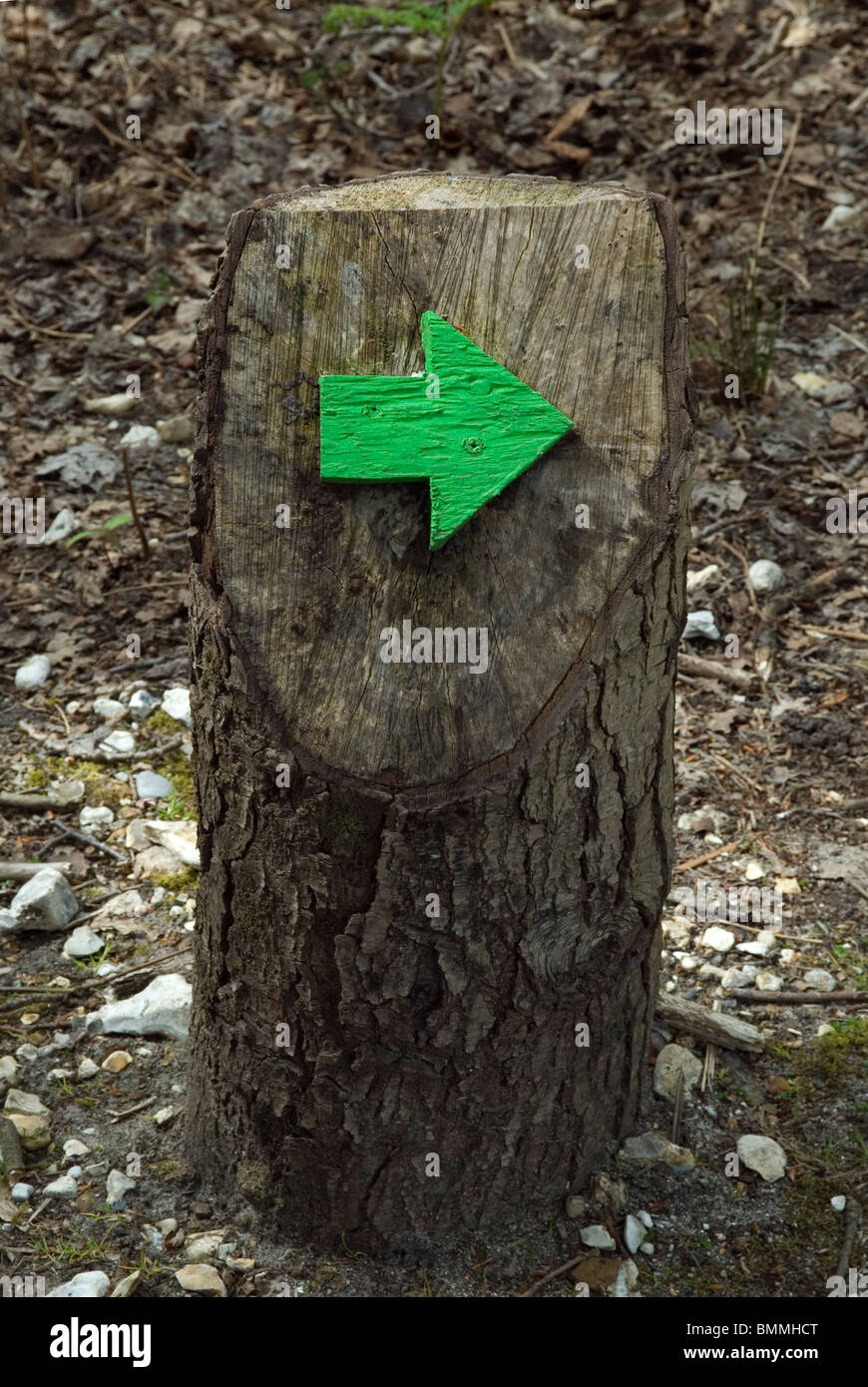 Woodland direction hi-res stock photography and images - Alamy