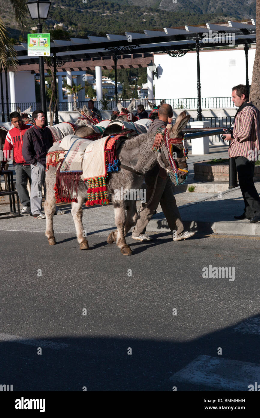 Tourist Taxi Donkey at Mijas. Malaga Province. Costa del Sol. Spain. Europe Stock Photo