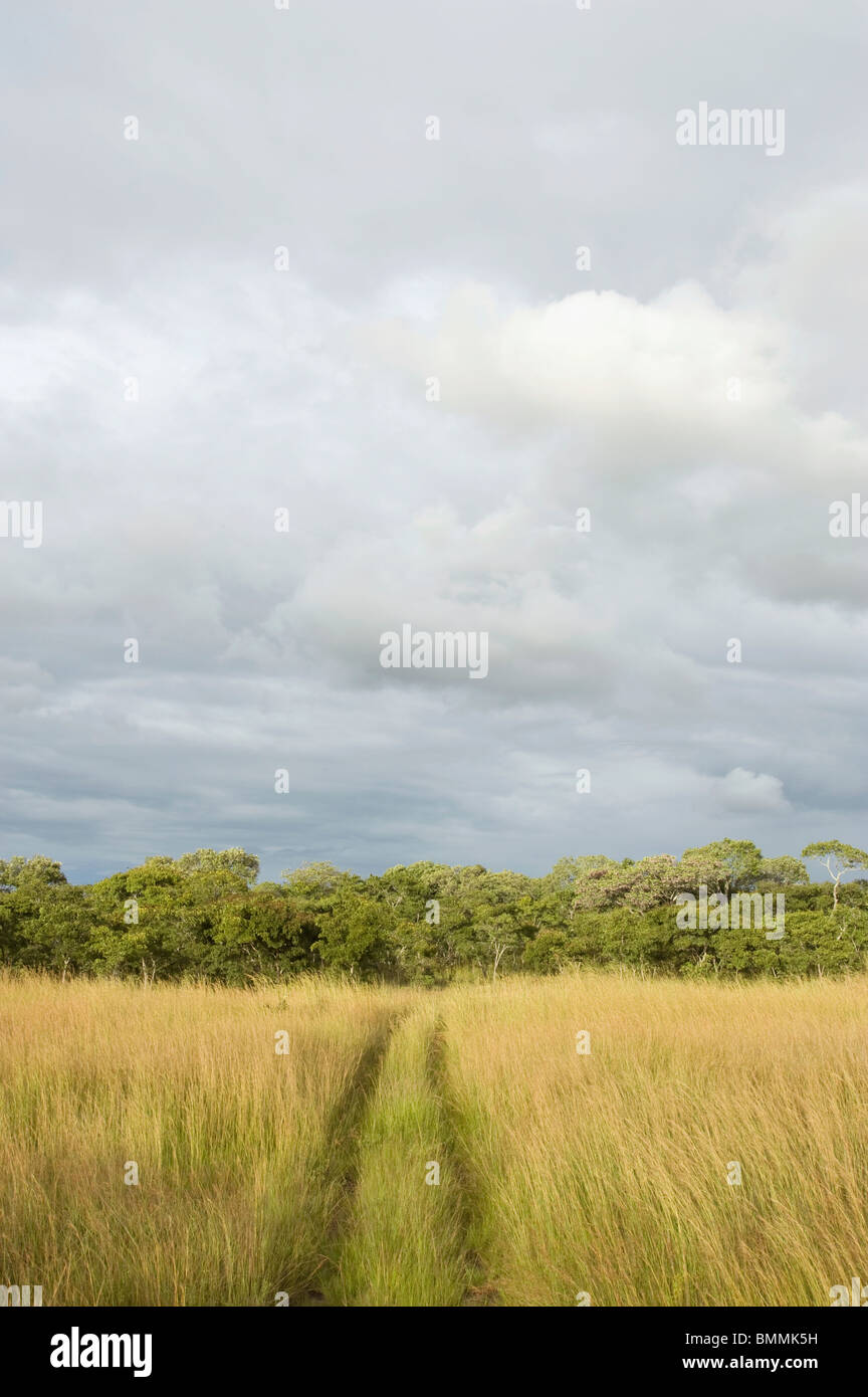 Track through Haga Game Park, Harare, Zimbabwe Stock Photo