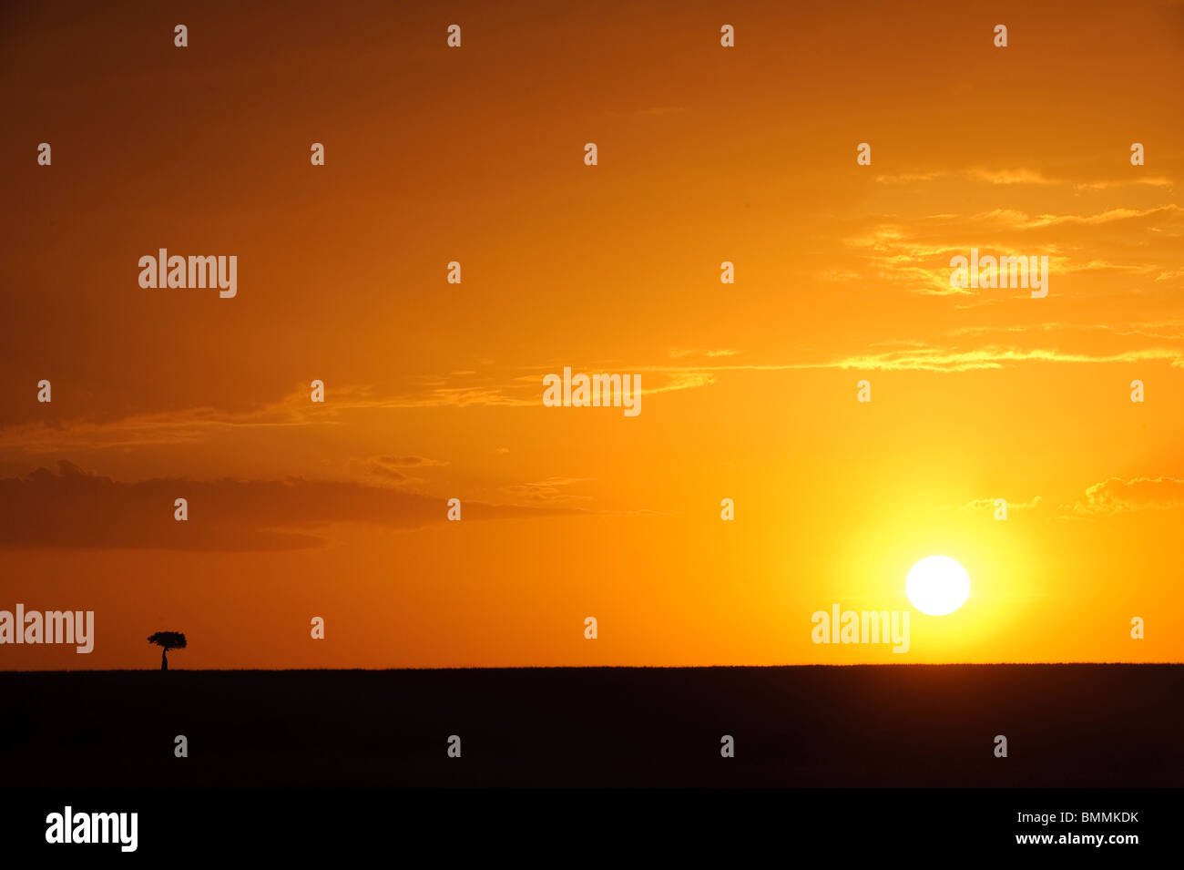 Sunset over the masai mara hi-res stock photography and images - Alamy