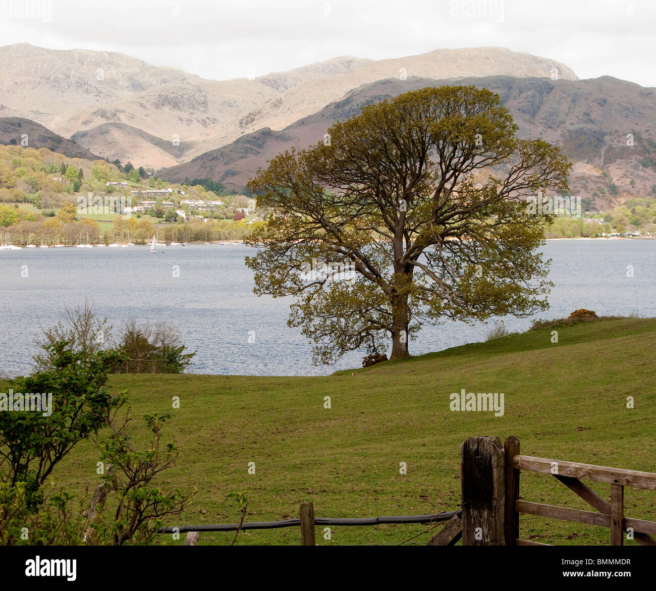 Scenic view of Coniston Water, England Stock Photo Alamy
