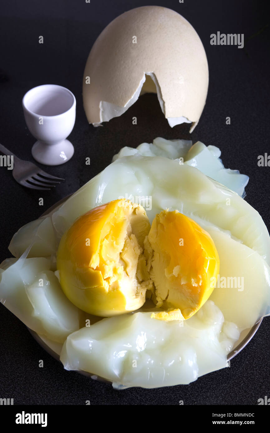Hard Boiled Ostrich Egg Stock Photo - Alamy
