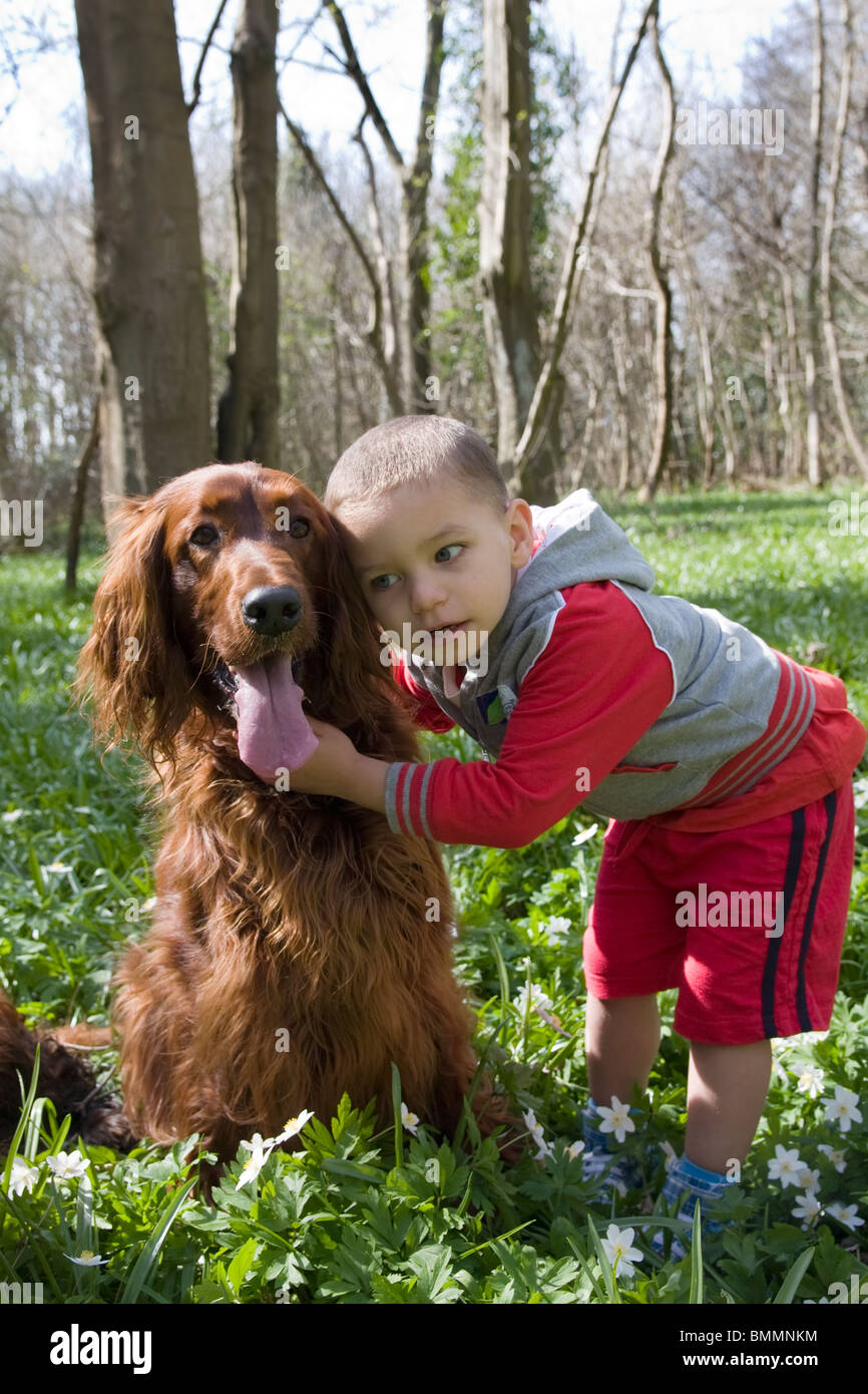 little boy playing with irish setter dog Stock Photo