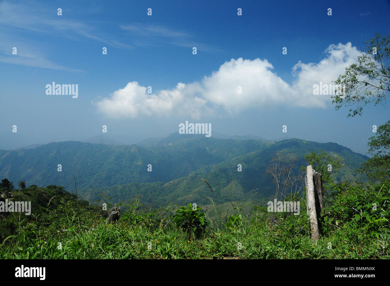 Tropical island colombia hi-res stock photography and images - Alamy