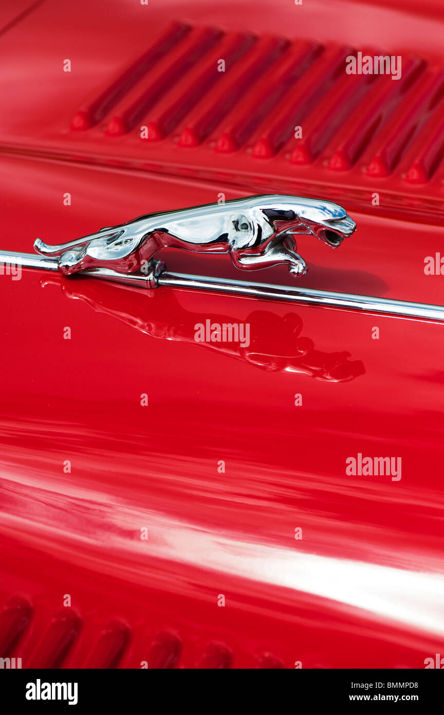 Leaping jaguar mascot on a vintage Jaguar e type car Classic