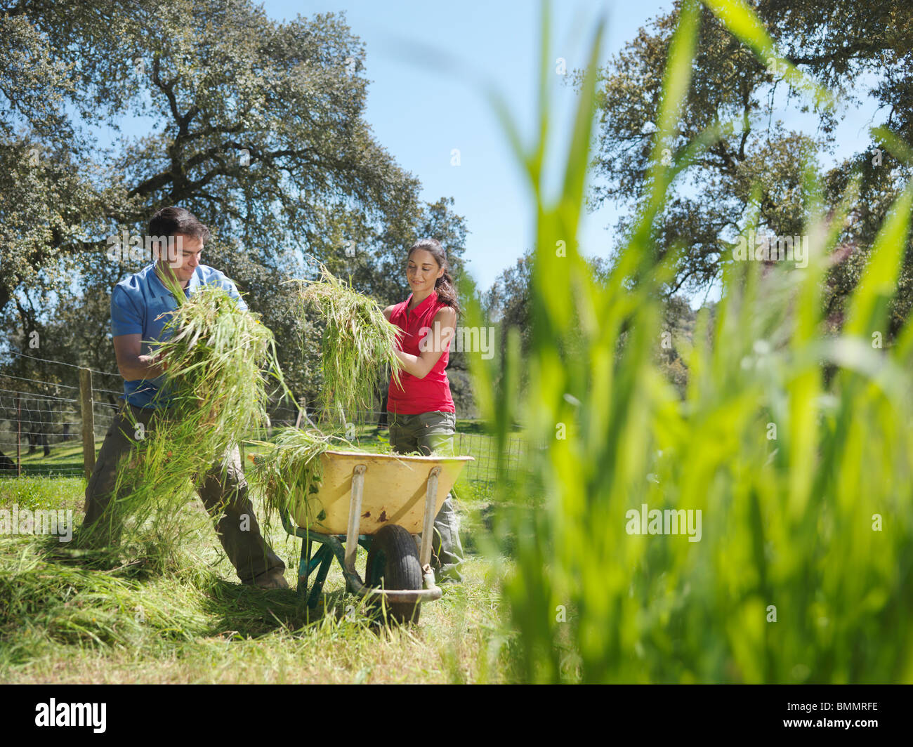 Man and woman putting hay in wheelbarrow Stock Photo