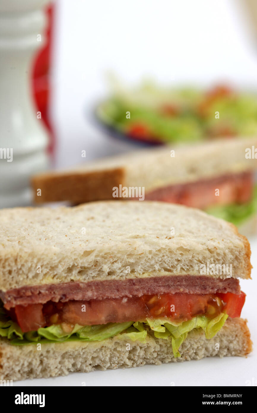 Fresh Tasty Corned Beef Sandwich In Brown Bread Isolated Against A
