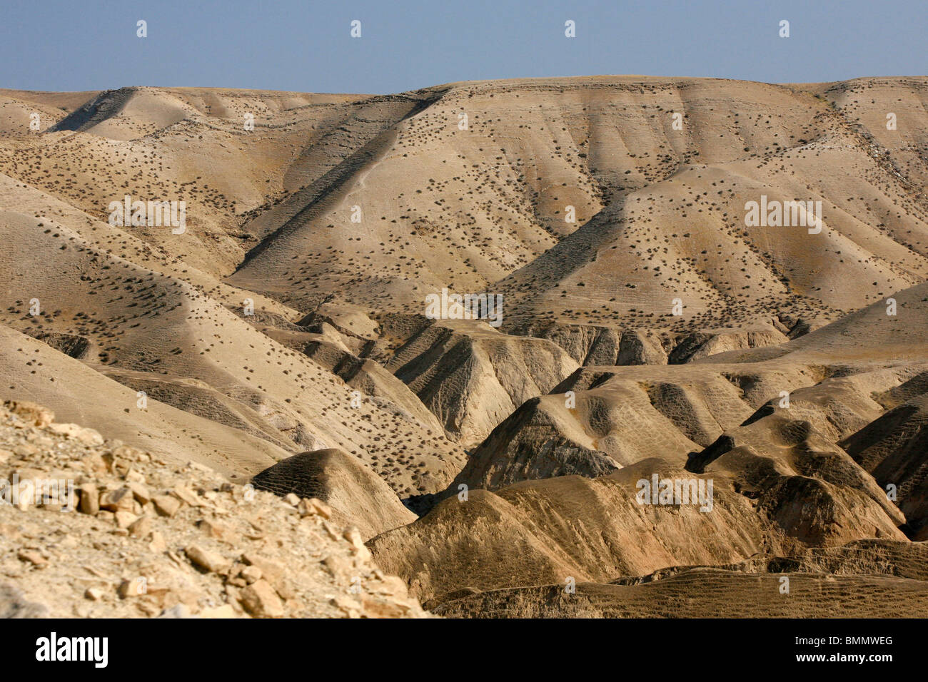Israel, West Bank, Judaea Desert, The dunes of Judea desert. Stock Photo