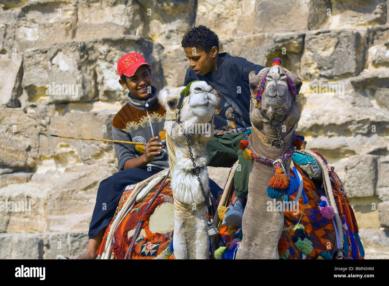 Young camel riders in Giza, Egypt Stock Photo - Alamy