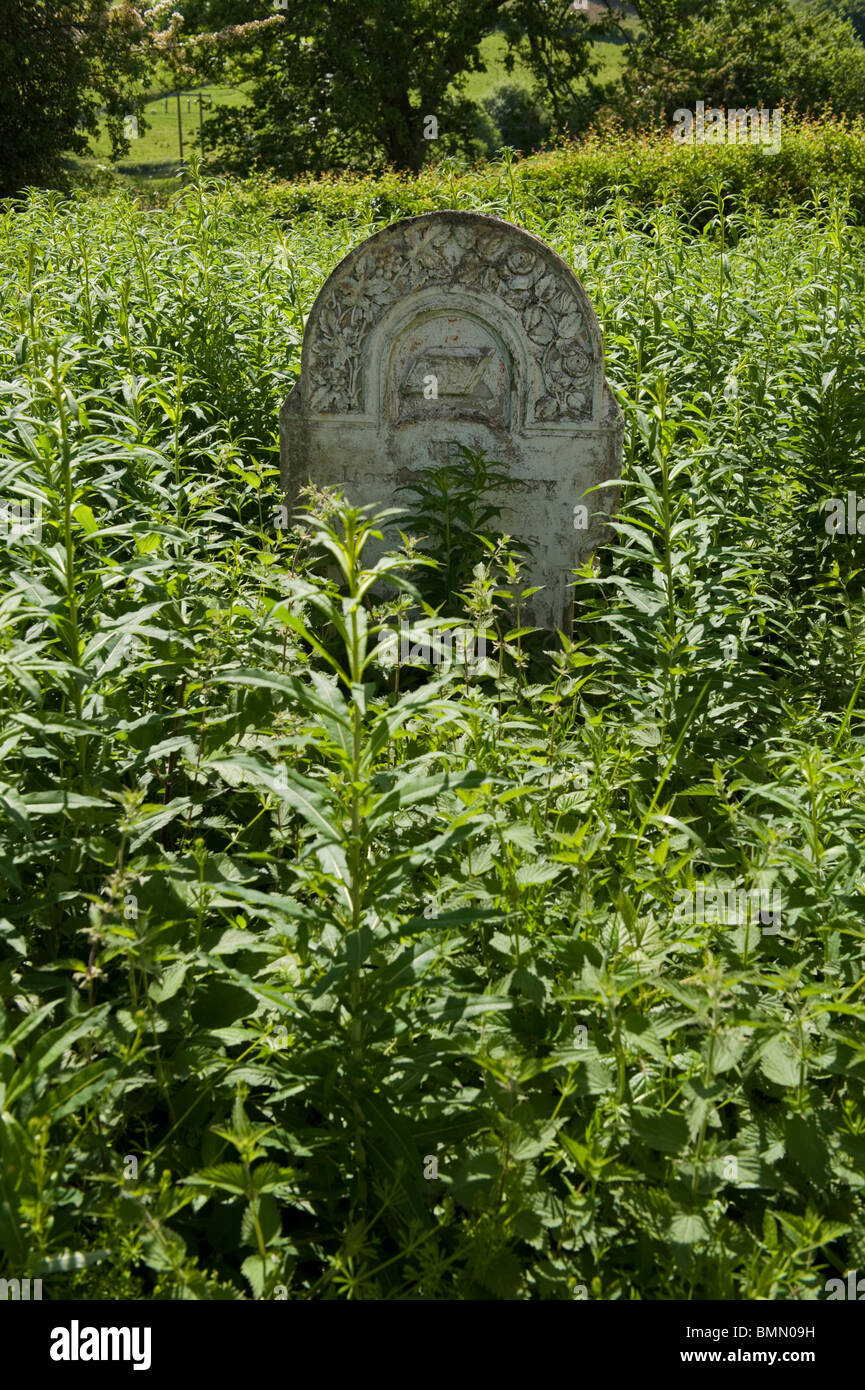 An overgrown graveyard uk hires stock photography and images Alamy