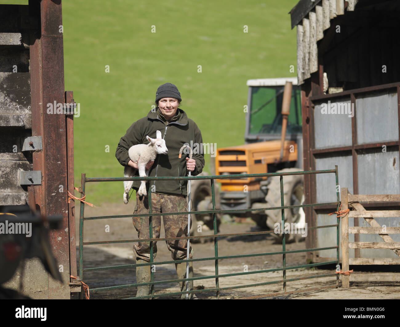 Farmer holding lamb and stick Stock Photo