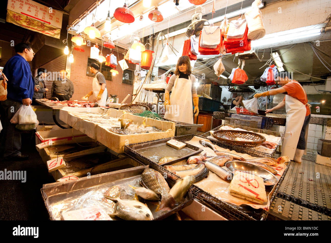 Grocery Store Seafood Displays