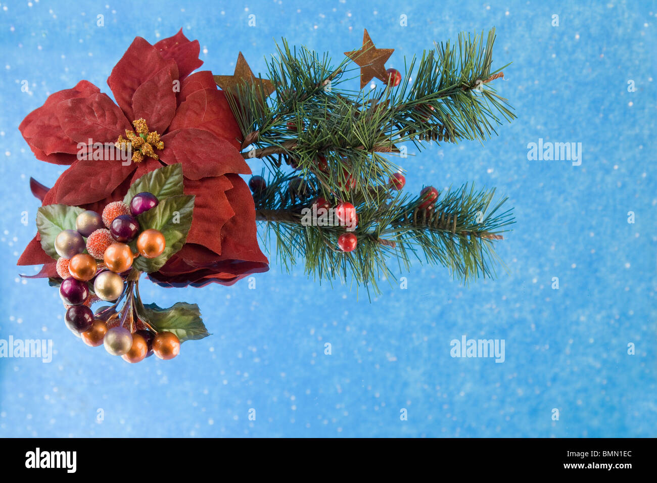 Christmas style fir branch with red berries, poinsettia bloom and copysapce on a soft blue background Stock Photo