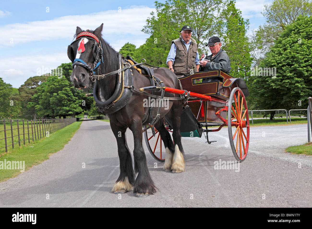 jaunty car, Killarney National Park, Co. Kerry, Republic of Ireland Stock Photo