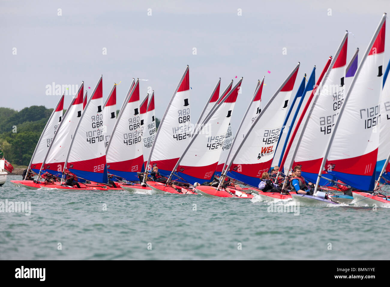 topper dinghy racing in Chichester Harbour, UK Stock Photo Alamy