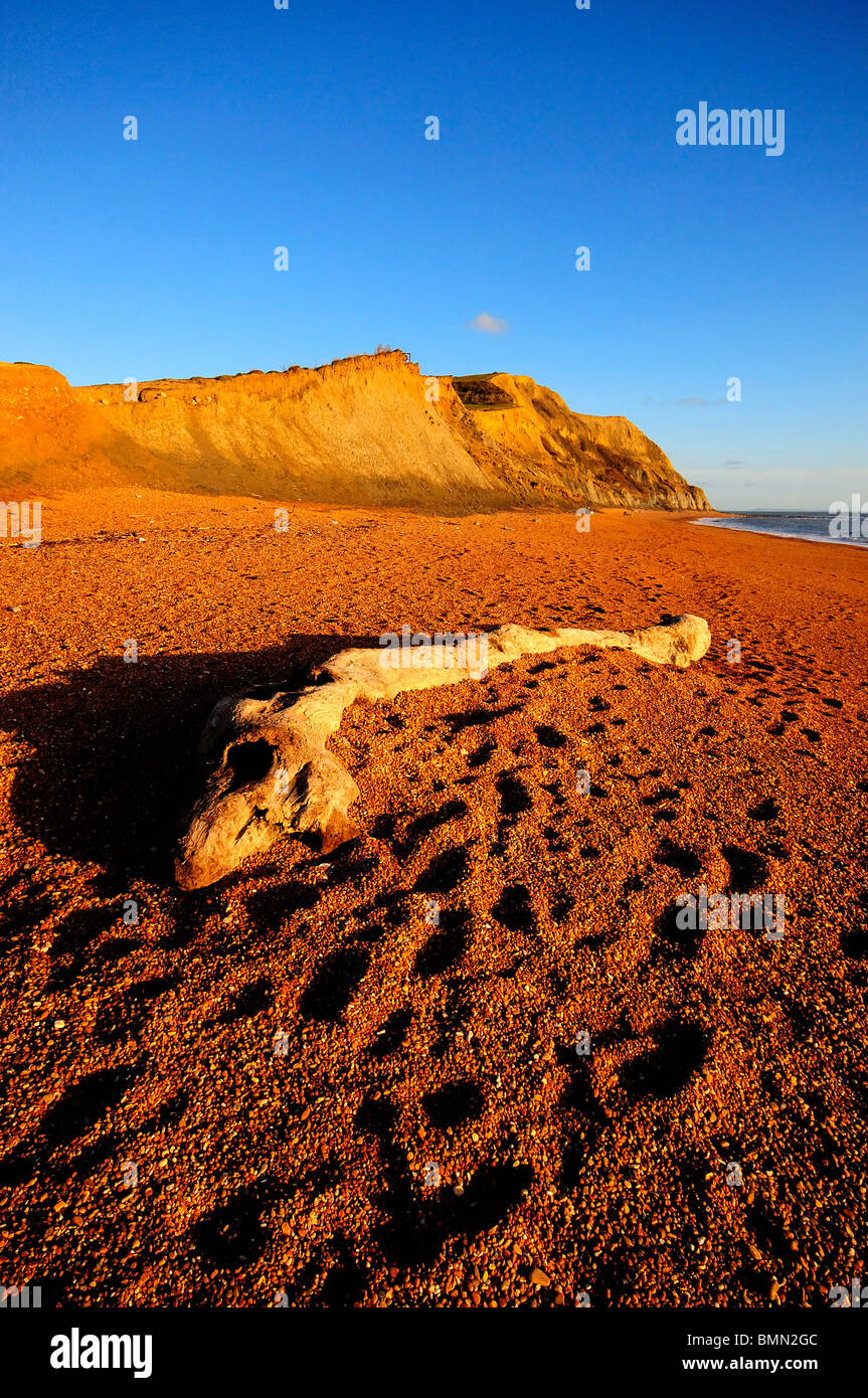 Seatown dorset hires stock photography and images Alamy