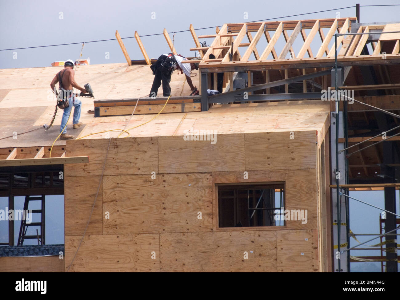 Carpenters working in the roof a new building, California, USA Stock Photo Alamy