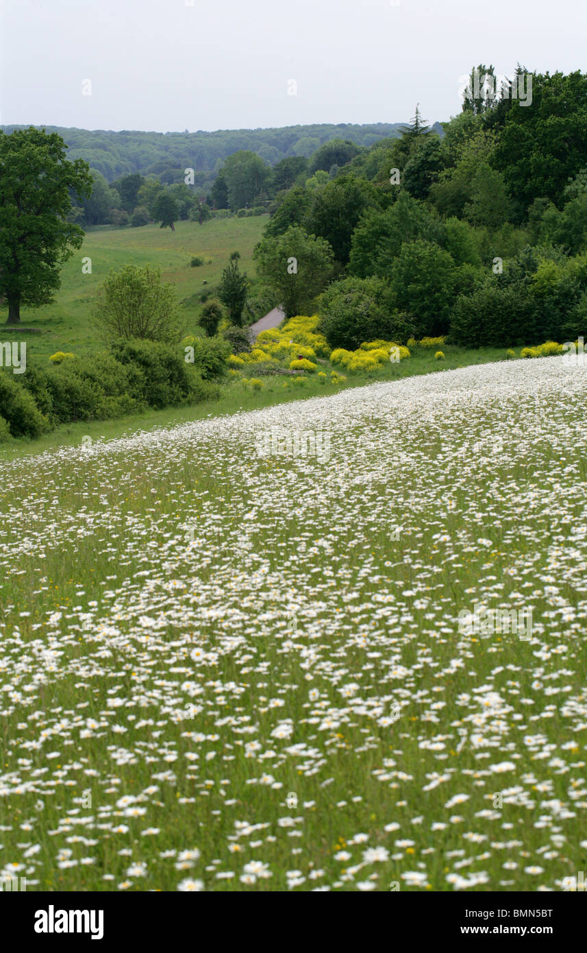Abbots langley hires stock photography and images Alamy
