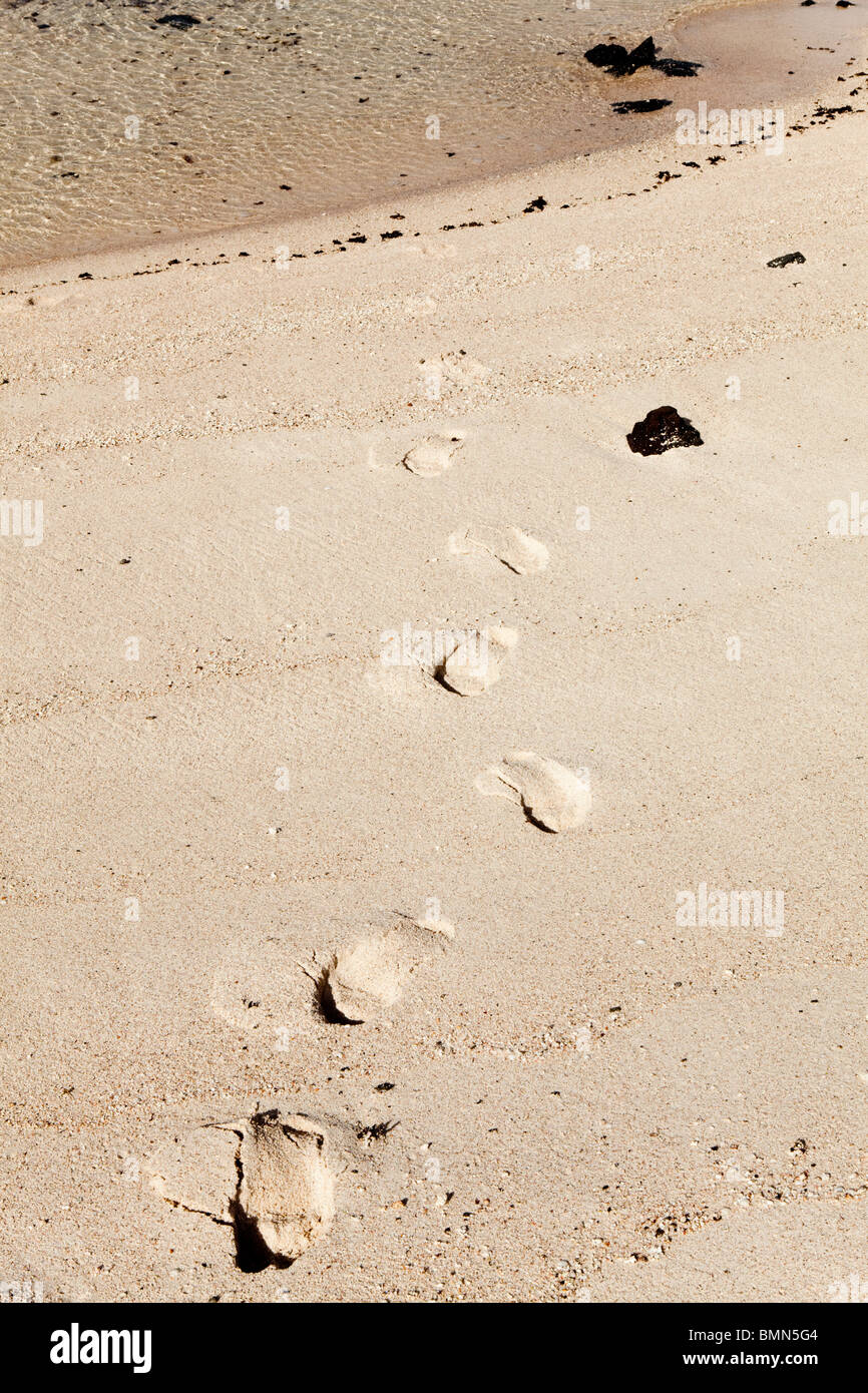 Footprints coming from the sea onto a sandy beach Stock Photo - Alamy