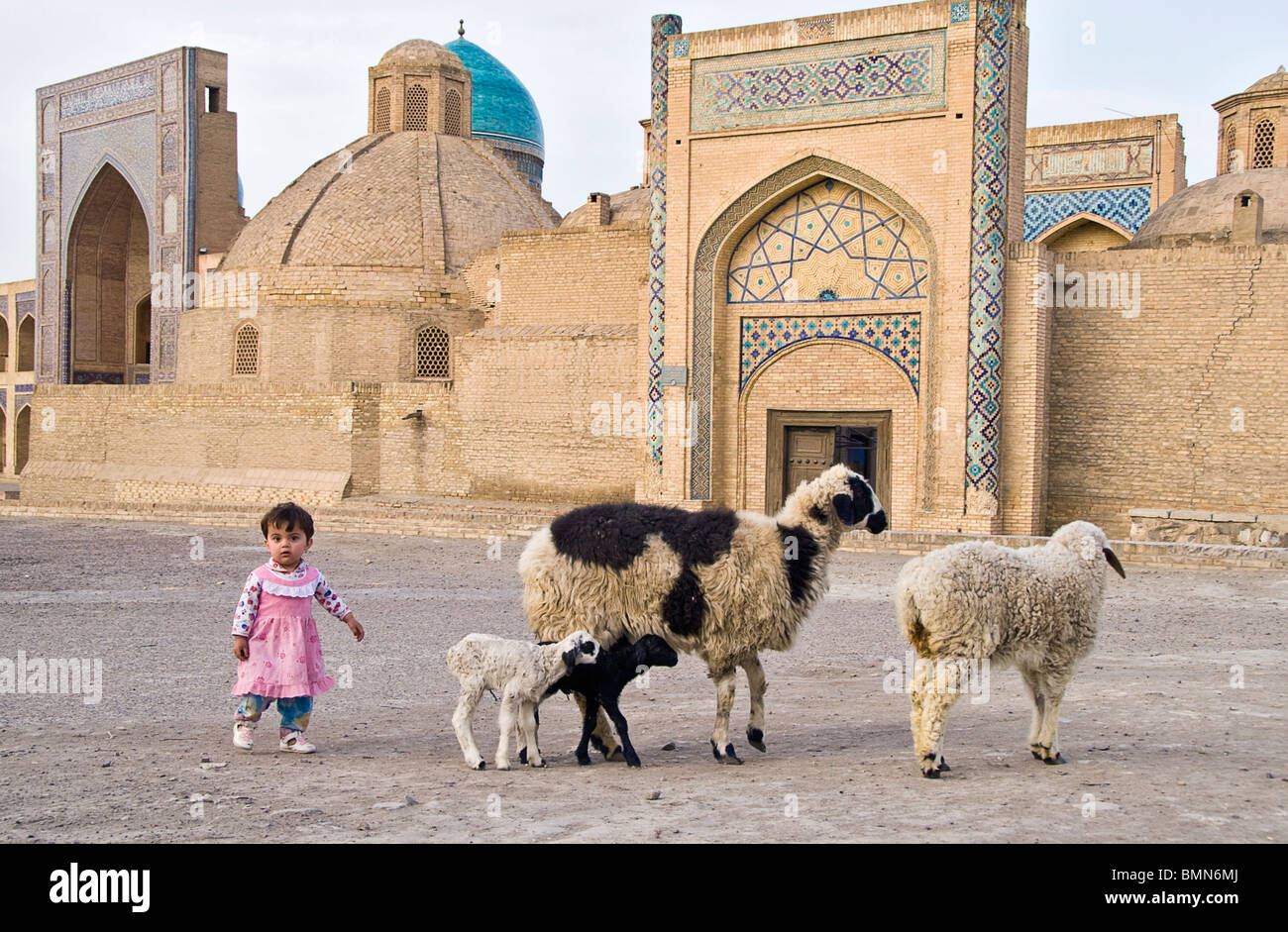 Girl with sheep, Bukhara, Uzbekistan, Asia Stock Photo - Alamy