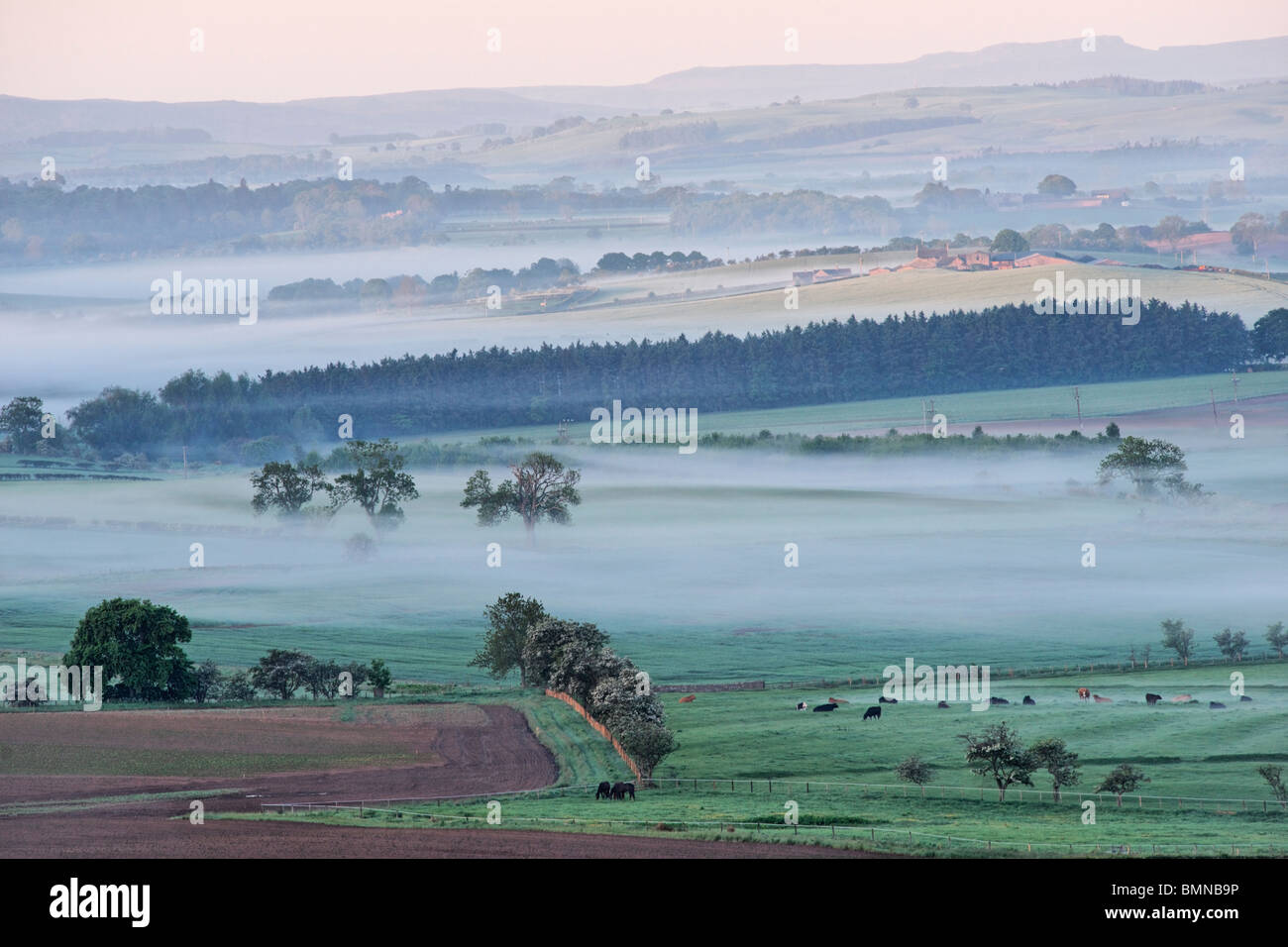 Fields and mist near Chatton, Northumberland, England, UK Stock Photo ...