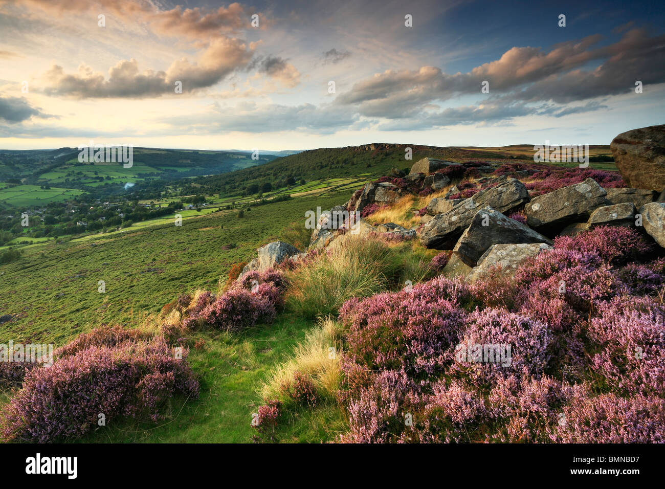 Late summer light on the heather-clad Curbar Edge in the Peak District of Derbyshire, England Stock Photo