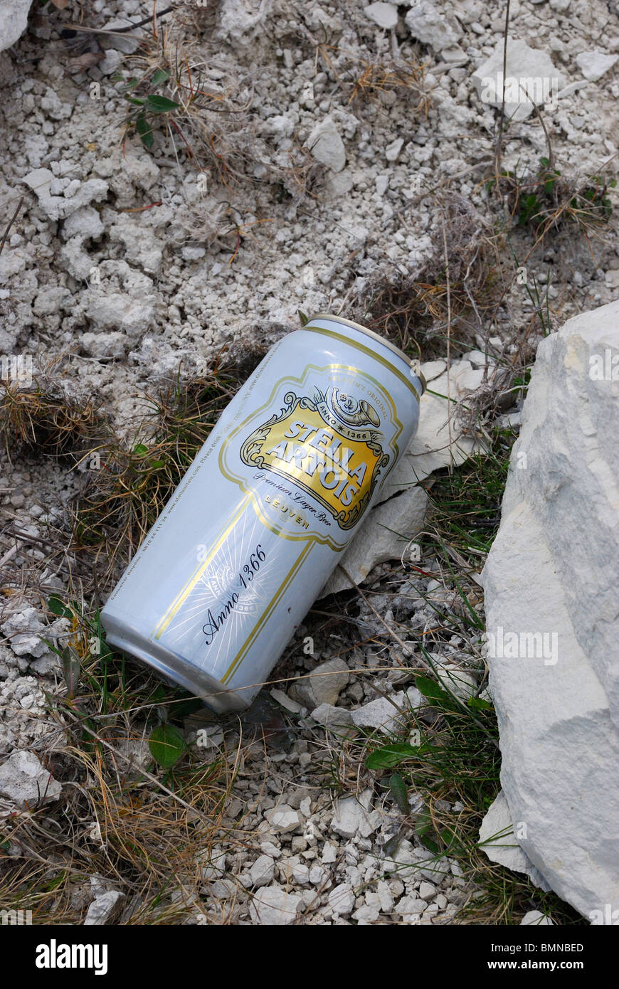 Empty Beer Can left abandoned in Quarry Stock Photo
