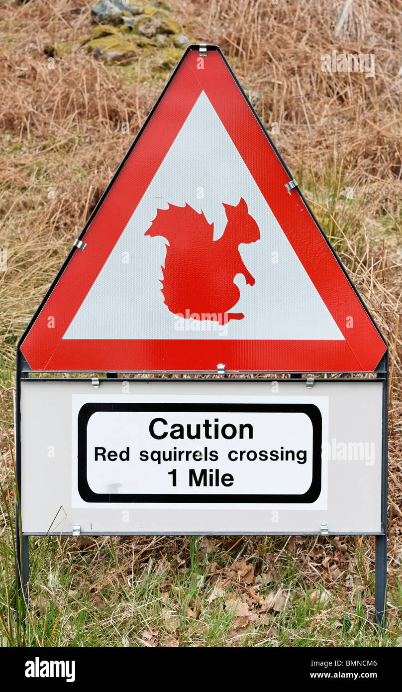 Caution Red Squirrel crossing road sign. Dundonnell, Wester Ross