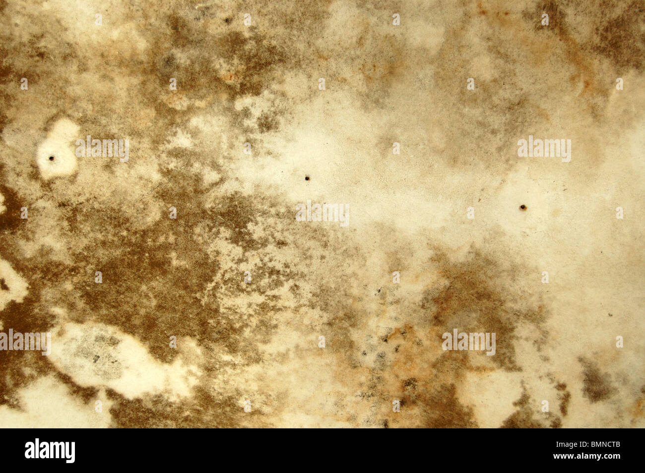 Water Stains And Mold Growth On The Ceiling Of An Abandoned