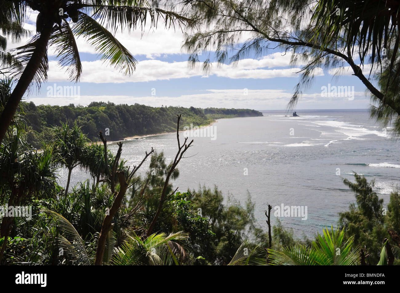 Tropical scenery: South Pacific island jungle and seascape Stock Photo
