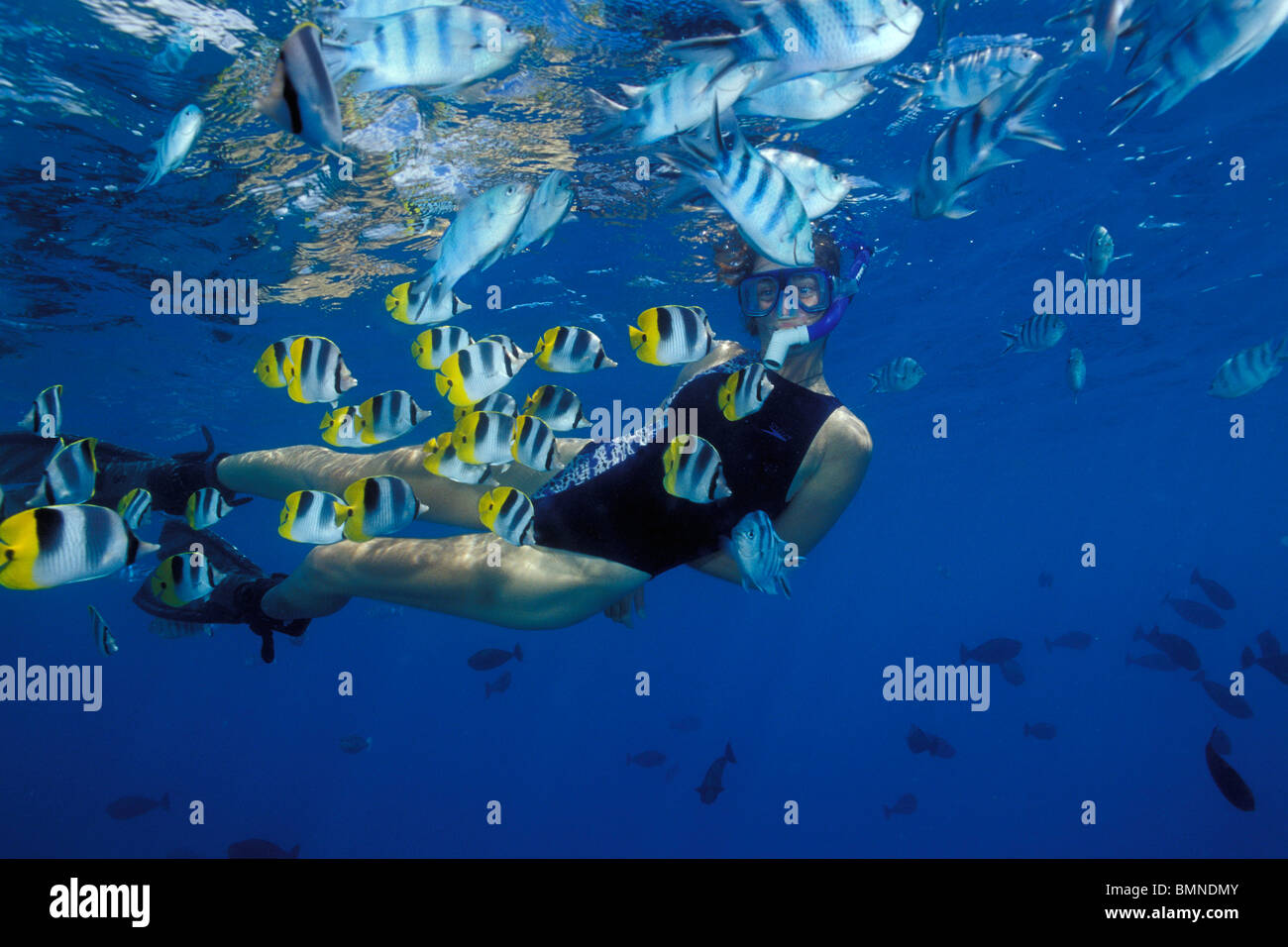 Snorkeler with tropical fish, Rangiroa, French Polynesia, Pacific Ocean