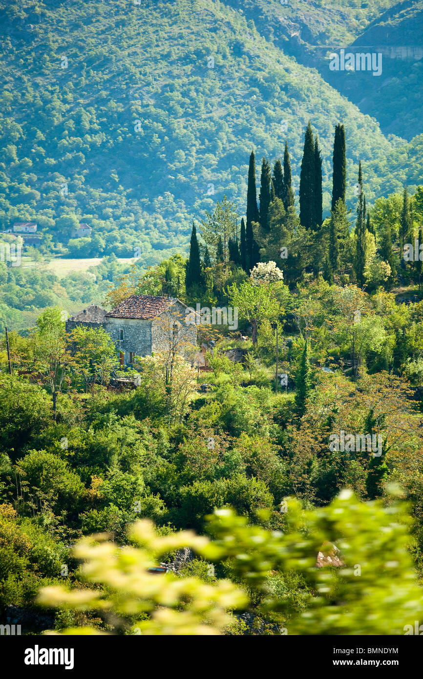 Montenegro Spring Landscape - House and cypress Stock Photo