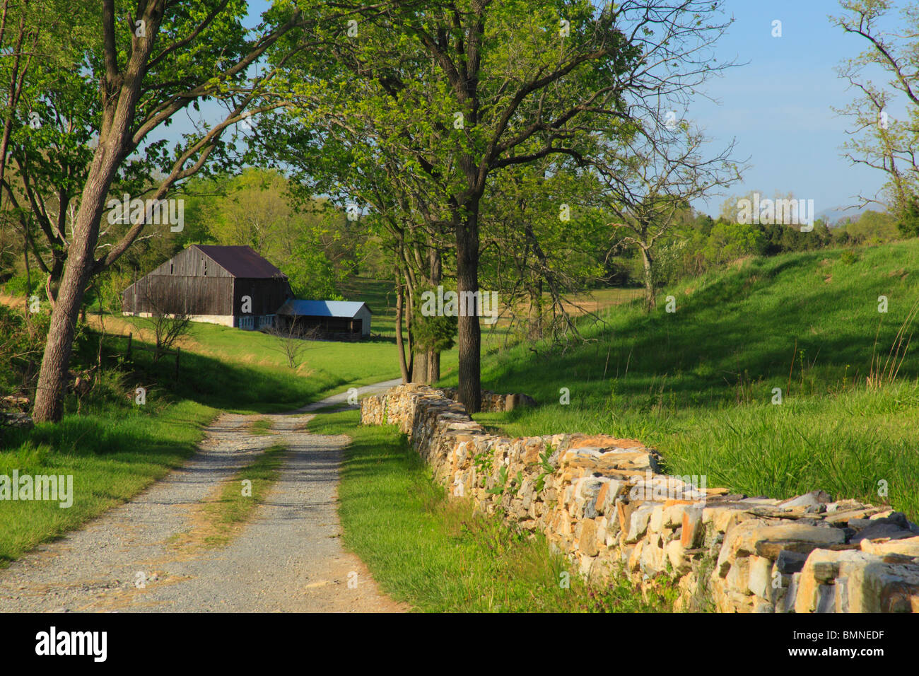 Bloody Lane Trail, Antietam National Battlefield, Sharpsburg, Maryland, USA Stock Photo
