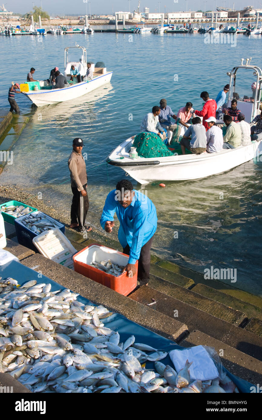 Qatar, Doha Harbour Fish Market Stock Photo