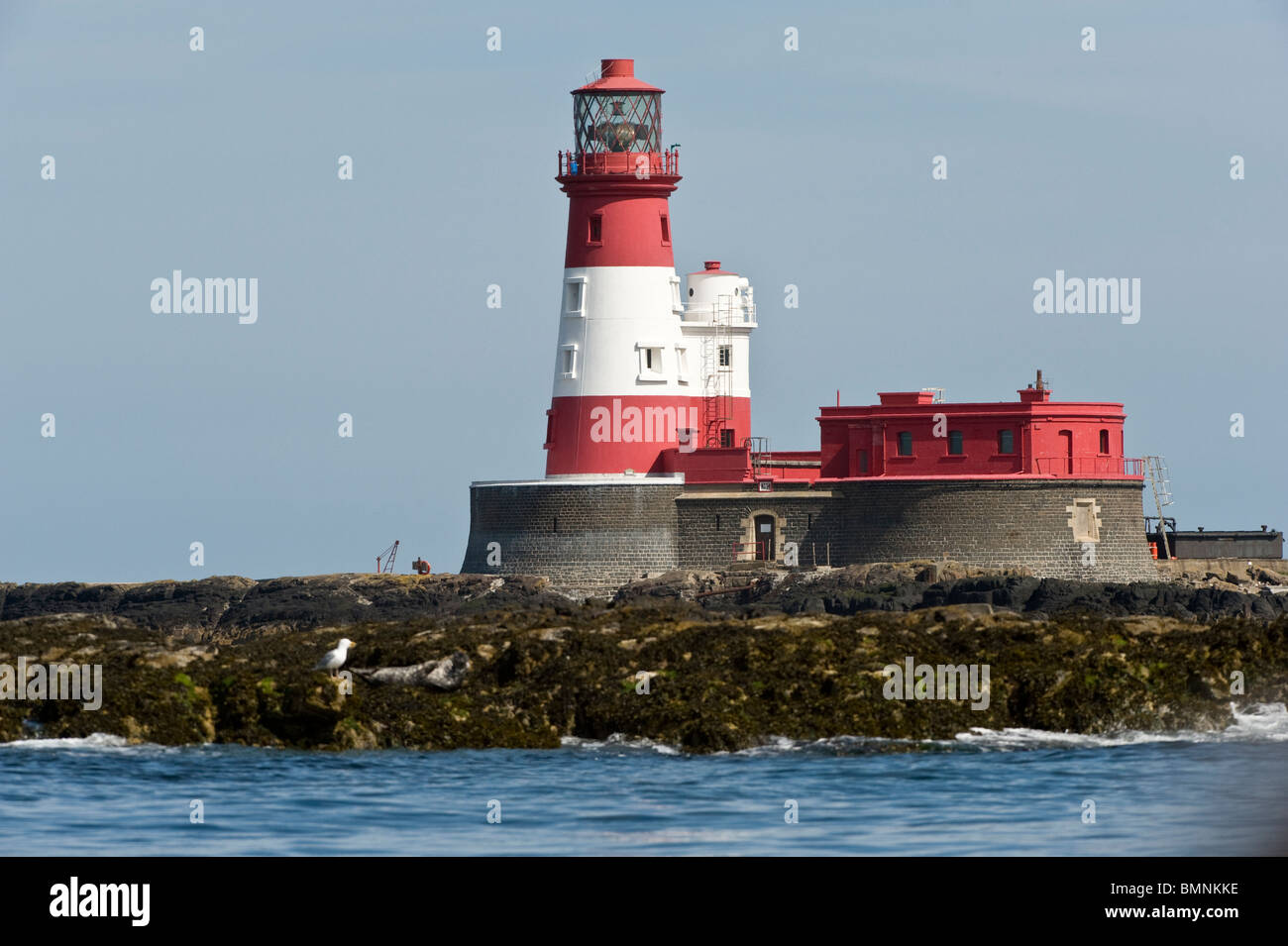 Longstone Lighthouse, Longstone Island, Farnes, Northumberland Coast, England, UK, Europe, June Stock Photo