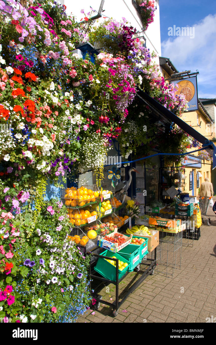 Europe, Uk, Wales, Powys, Crickhowell Flowers Stock Photo