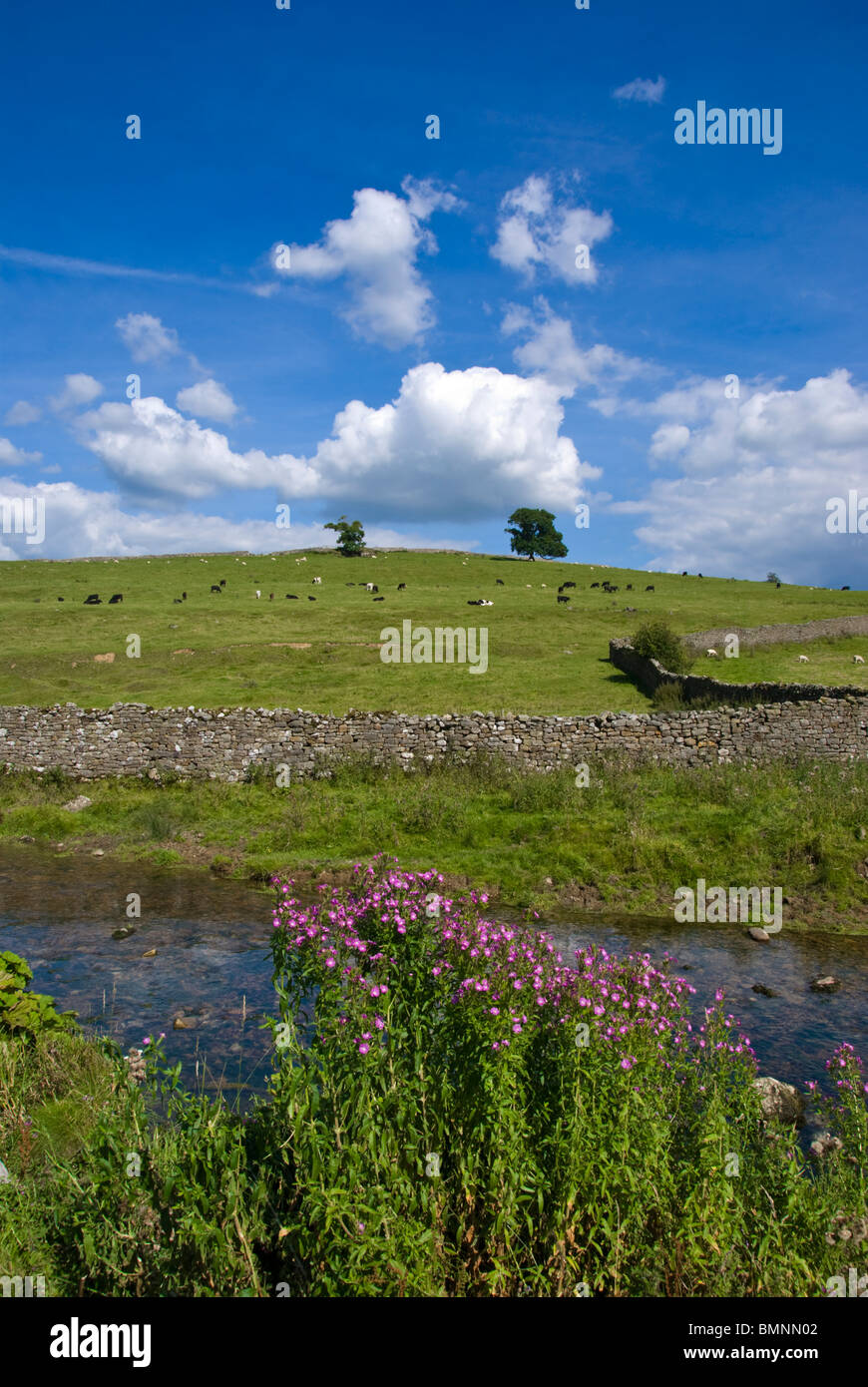 England uk landscape landscapes hi-res stock photography and images - Alamy