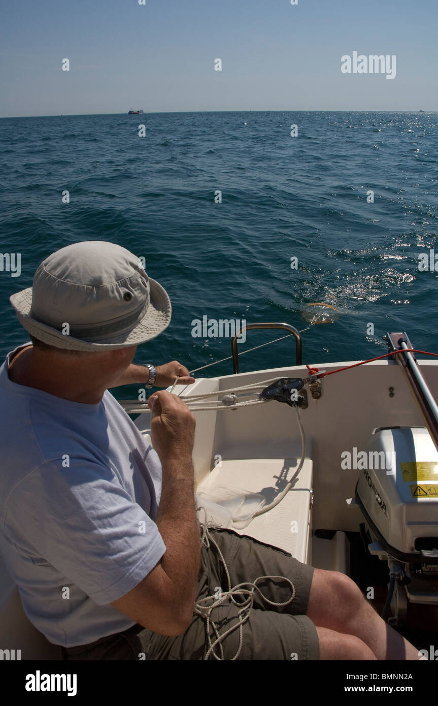 Scientist recovering plankton trawl, Pembrokeshire, Wales, UK, Europe Stock Photo