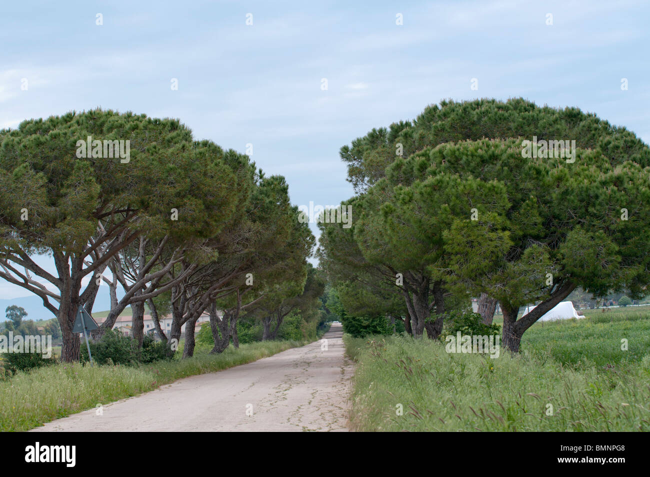 Tuscany, landscape scene (Maremma) Stock Photo