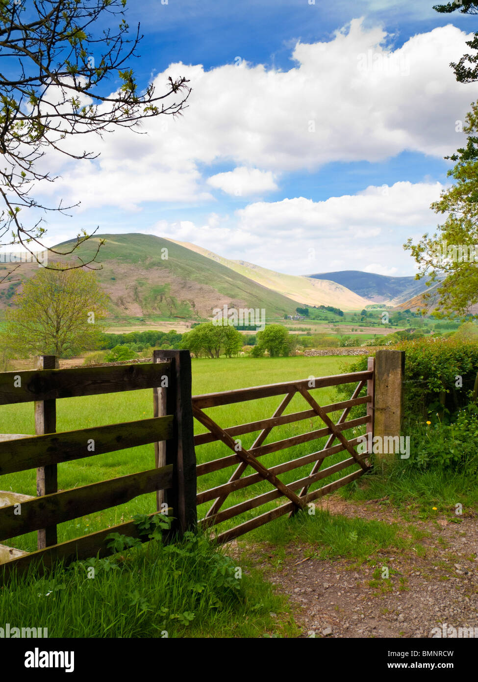 Typical English Lake District rural scene with wooden gate Cumbria England UK Stock Photo
