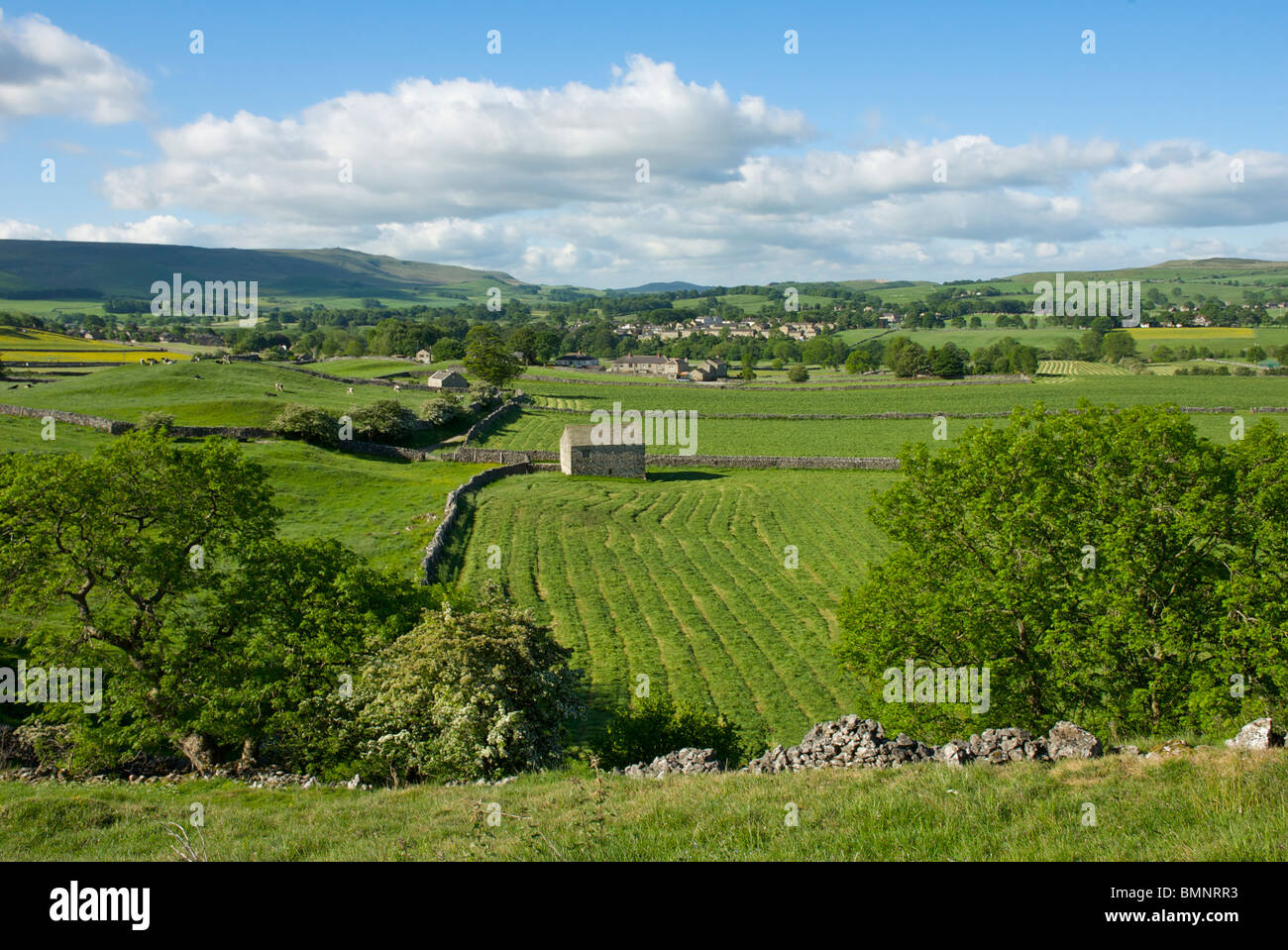 Fields in Wharfedale, with Grassington behind, Yorkshire Dales National Park, england UK Stock Photo