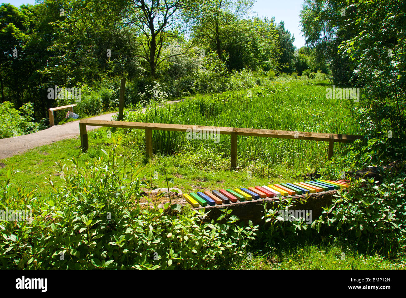 A seat with coloured slats by an old canal at Daisy Nook Country Park, Failsworth, Manchester, England, UK Stock Photo