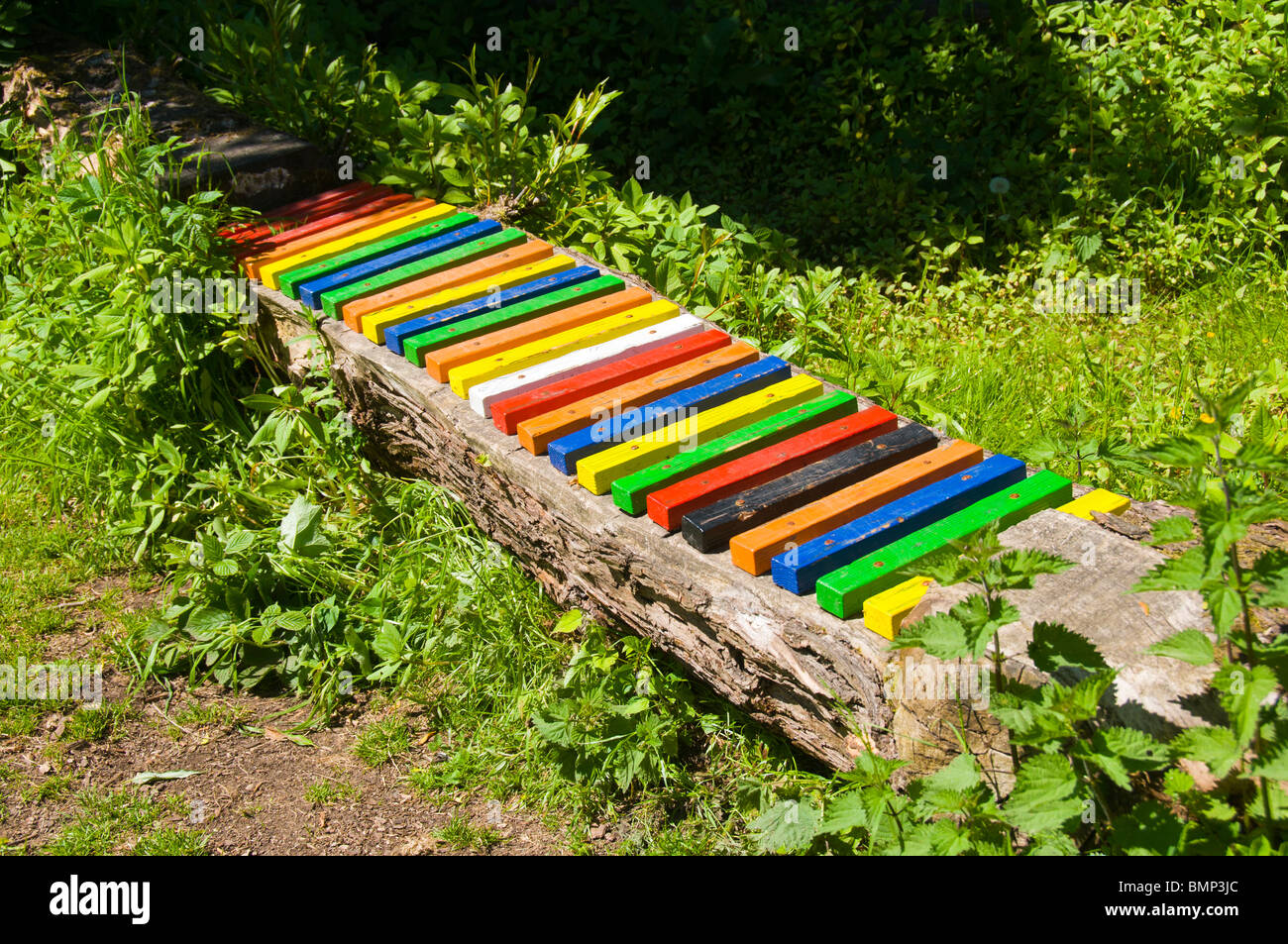 A seat with coloured slats by an old canal at Daisy Nook Country Park, Failsworth, Manchester, England, UK Stock Photo