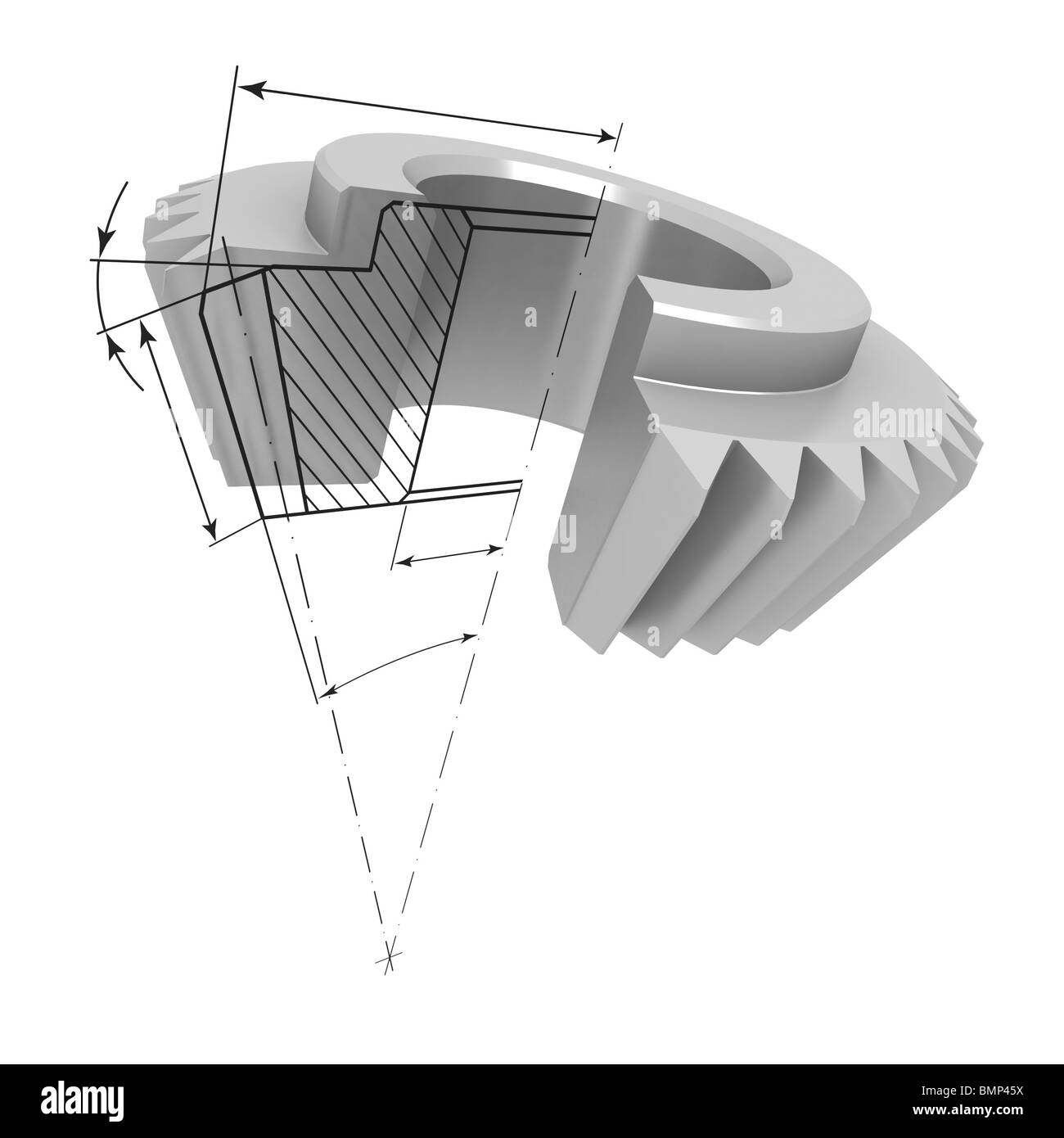 Three-dimensional model bevel gear in the section. At the cut projected drawing details. Stock Photo